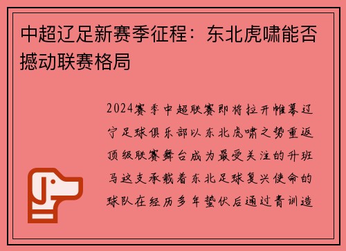 中超辽足新赛季征程：东北虎啸能否撼动联赛格局