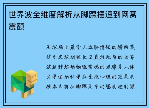 世界波全维度解析从脚踝摆速到网窝震颤