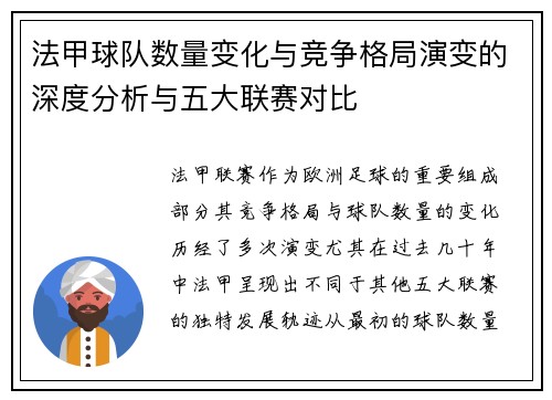 法甲球队数量变化与竞争格局演变的深度分析与五大联赛对比
